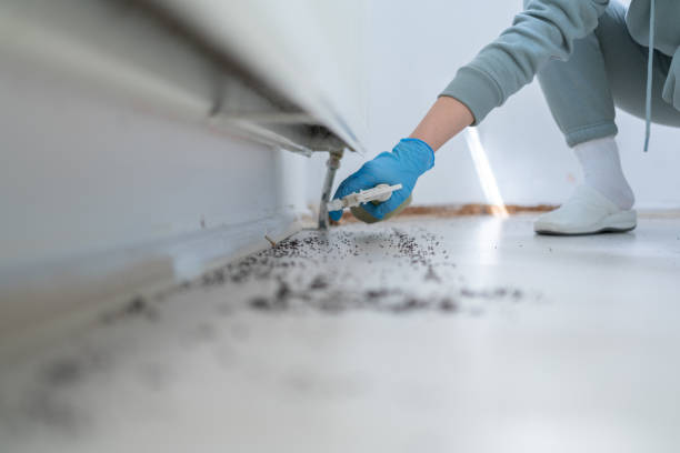 Bird Control in Coral Gables, FL